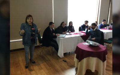 UNIVERSIDADES ESTATALES DIERON A CONOCER PLAN DE ACTIVIDADES CULTURALES 2018