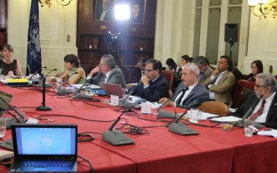 CUECH EN EL CONGRESO: LAS REASIGNACIONES DEL PRESUPUESTO 2019 NOS DEJAN EN CERO PORCIENTO DE CRECIMIENTO
