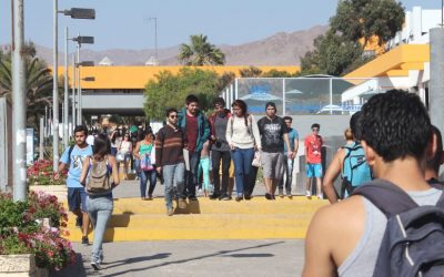 Universidad de Antofagasta iniciará primer semestre 2020 a través de plataforma online