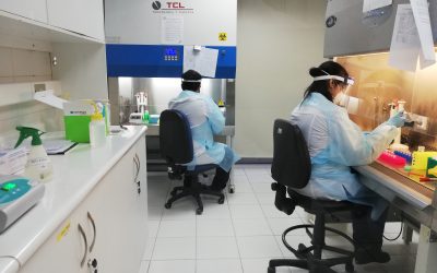 UFRO comenzó análisis para el diagnóstico de COVID-19: Primer laboratorio ya está operativo