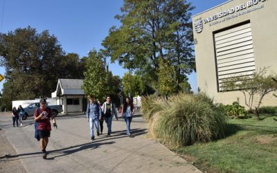 FACE UBB crea aplicación que ayudará en detección precoz de Covid-19