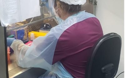 Laboratorio de Virología Molecular de la Universidad de Antofagasta inicia análisis de exámenes PCR