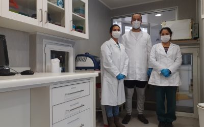 Universidad de Playa Ancha contribuirá con pruebas diagnósticas a detectar el SARS-CoV-2