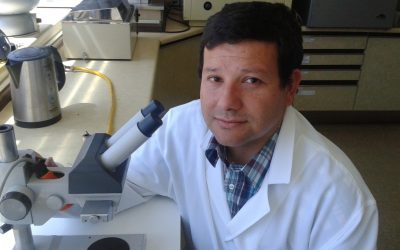 Infectólogo advierte: “Es urgente decretar también cuarentena total en San Antonio y cordones sanitarios en Viña y Valparaíso”