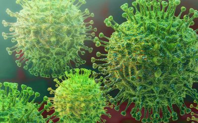 Grupo Epidemiológico y Matemático de la Universidad de Santiago estudia los datos de la pandemia