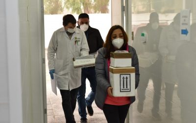 Laboratorio de Biología Molecular UDA analiza cerca de 300 exámenes COVID-19 provenientes de Antofagasta