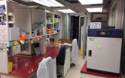 Capacidad para 200 análisis diarios: Segundo laboratorio de la Universidad de Santiago está listo para sumarse a los esfuerzos contra el COVID-19