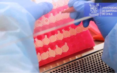 Laboratorio de Virología Usach analiza 1.500 muestras para la detección de COVID-19 en menos de un mes de pruebas