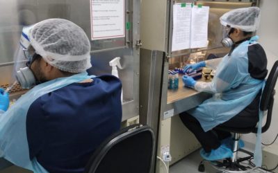 Laboratorio de Virología Molecular de la U. de Antofagasta ha analizado 4.400 muestras PCR a menos de dos meses de iniciar las pruebas