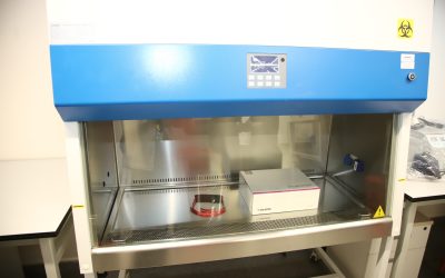 Ministerio de Salud autoriza laboratorio de exámenes PCR de la Universidad de O´Higgins
