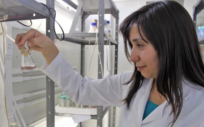 Científicos de la U. de Antofagasta investigan nueva herramienta diagnóstica para detectar virus respiratorios