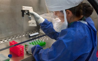 Inocuidad y bioseguridad: Las exigencias sanitarias que dejará el COVID-19 en la industria alimentaria