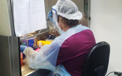 Laboratorio de Virología Molecular de la U. de Antofagasta supera las 13 mil muestras de exámenes por PCR en cuatro meses de trabajo