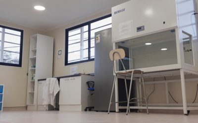 Región de Coquimbo aumenta capacidad para procesar muestras COVID-19 con la entrada en funcionamiento del Laboratorio ULS