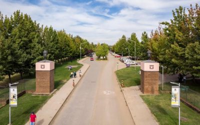 Junta Directiva de la UTalca aprobó el cierre de la Facultad de Ciencias Forestales