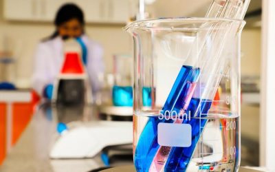 Universidad de O’Higgins lidera adjudicación de proyectos FIC del Gobierno Regional de O’Higgins