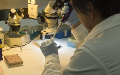 Día Nacional de las Ciencias exhibe una semana de actividades en la ULagos