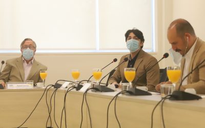 Investigador UOH presentó al Consejo Regional proyecto que busca rescatar patrimonio prehistórico regional