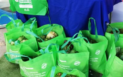 Universidad de Santiago lanza primer microbanco de alimentos de Chile