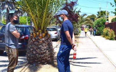 Psicóloga UPLA explica las claves para que el retorno a las actividades fuera de casa sea menos complejo