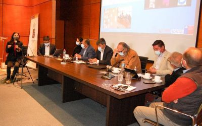 Proyecto FIC UOH sobre innovación social en sector turístico presentó avances a Consejo Regional