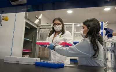 Laboratorio de Biología Molecular de la UDA ha analizado más 100 mil test PCR en Atacama