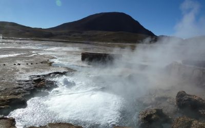 Buscan mejorar procesos industriales usando moléculas aisladas en la Región de Antofagasta
