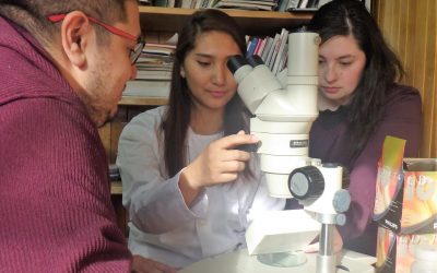 Estudiante de Biología Marina UMAG logra su primera publicación científica en revista internacional