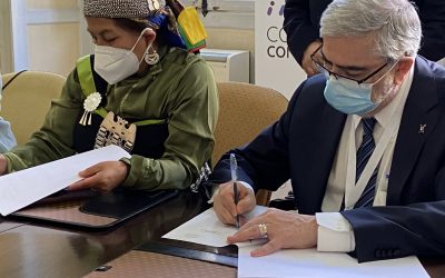 Usach firma convenio de colaboración con la Convención Constituyente