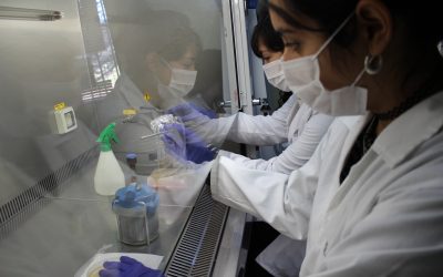 ULS mejora 6 posiciones en el ranking I+D+i de Ues. chilenas