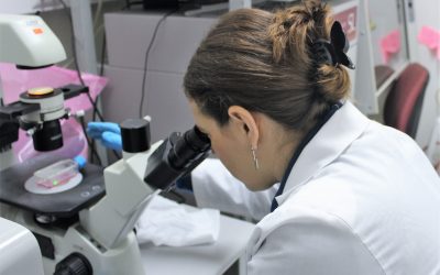 CIIBBA: 15 científicos buscarán nuevas vacunas y terapias para grandes amenazas a la salud humana