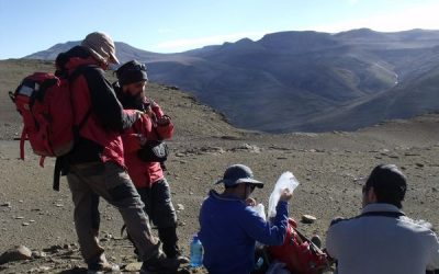 Descubren fósiles de ranas de la era de los dinosaurios que habitaron la Patagonia chilena
