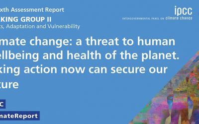 Investigadoras/es (CR)2 son parte del nuevo reporte IPCC sobre Impactos, Adaptación y Vulnerabilidad al Cambio Climático