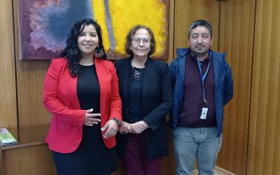 UBB y Delegación Presidencial Provincial de Punilla proyectan trabajo conjunto