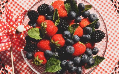 Investigadores del CIES expondrán sobre alimentos en Festival de Ciencia