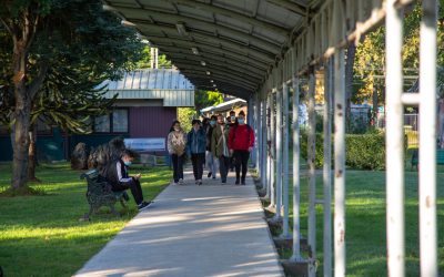 Admisión 2023: Resultados de postulaciones dan cuenta de una disminución de las brechas y aumento en las pedagogías