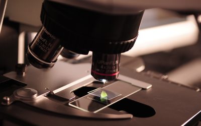 Más académicos de las universidades estatales se integran al CIES