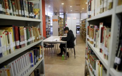 ¿Cómo enfrentar la ansiedad académica de fin de año? Experta entrega recomendaciones