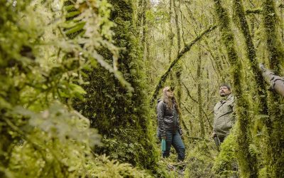 Uchile TV estrenó serie «Invasores. Especies y Territorios en Pugna»