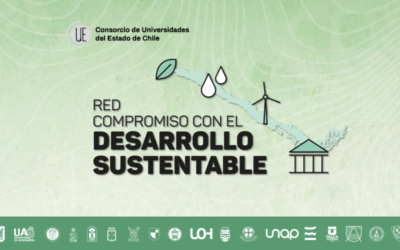 Inscríbete en el curso que enseña prácticas transformadoras sustentables en la vida diaria