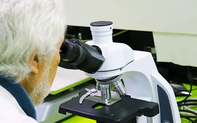 UFRO fortalece innovación con patentes internacionales