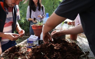 Jardín Botánico UMCE abre su programación 2026