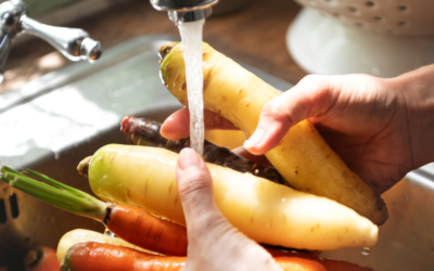 Tras los sistemas frontales: claves para evitar enfermedades por alimentos
