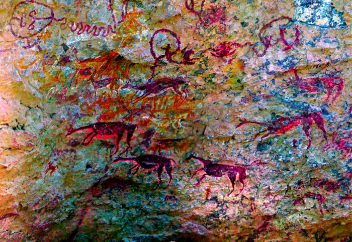 Investigación en Atacama. Imagen de la Universidad de Tarapacá.